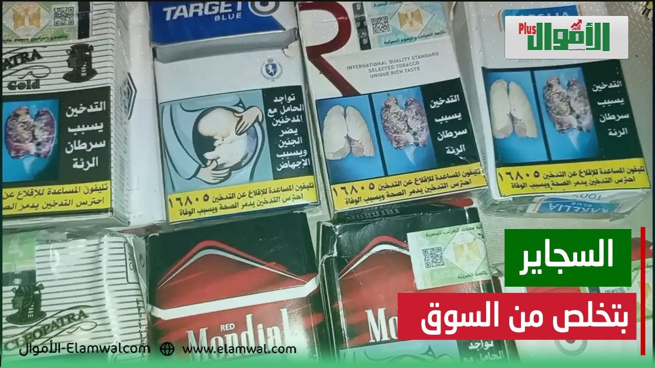 شهر ونص ومش هتلاقوا سجاير! تحذير أخير للحكومة.. والسعر الجديد لعلبة كليوباترا مفاجأة: الشرقية للدخان