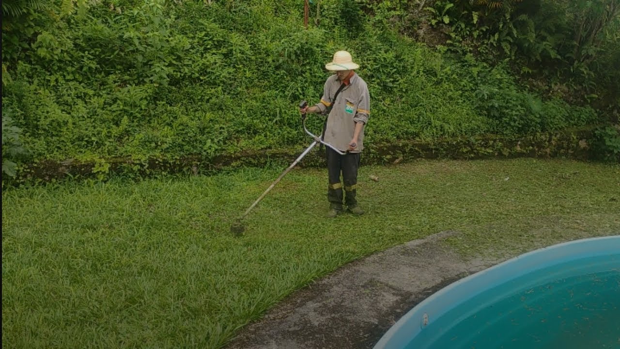 🔥 “Voltei ao Sítio da Minha Avó Depois da Morte Dela… Olha o Que Eu Fiz Lá 😳🌿”