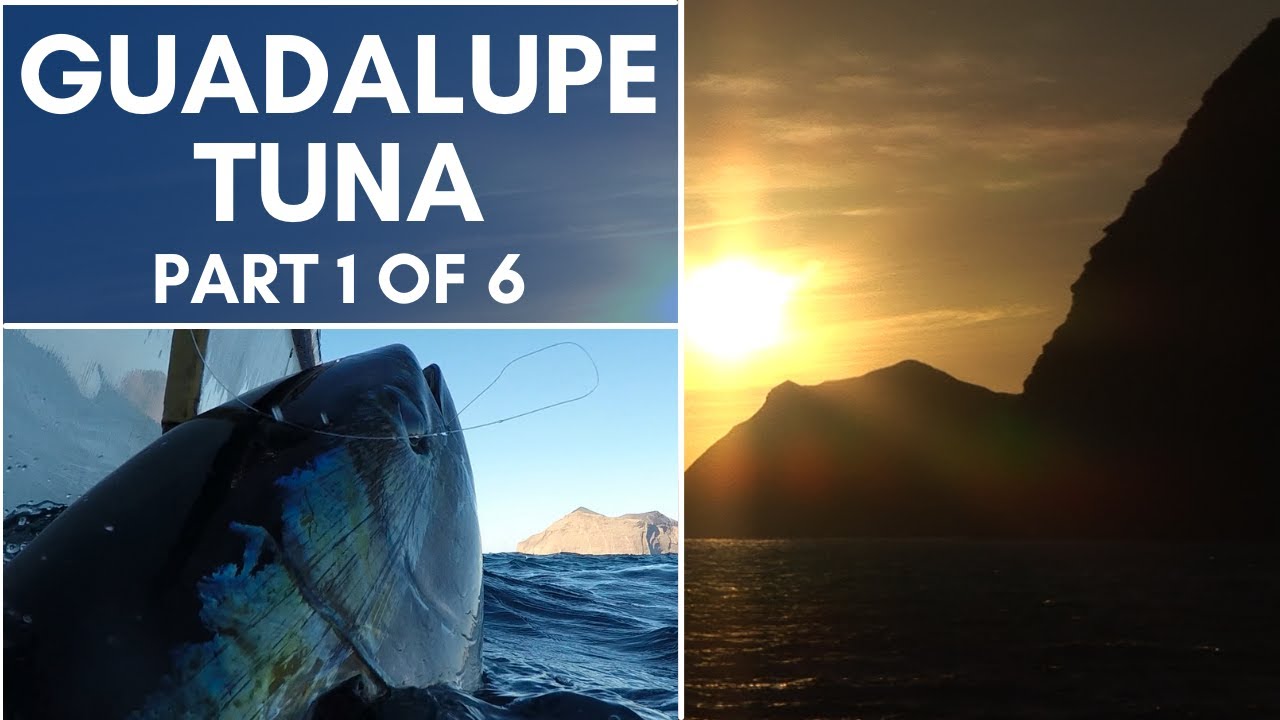 Guadalupe Tuna Part 1 of 6
