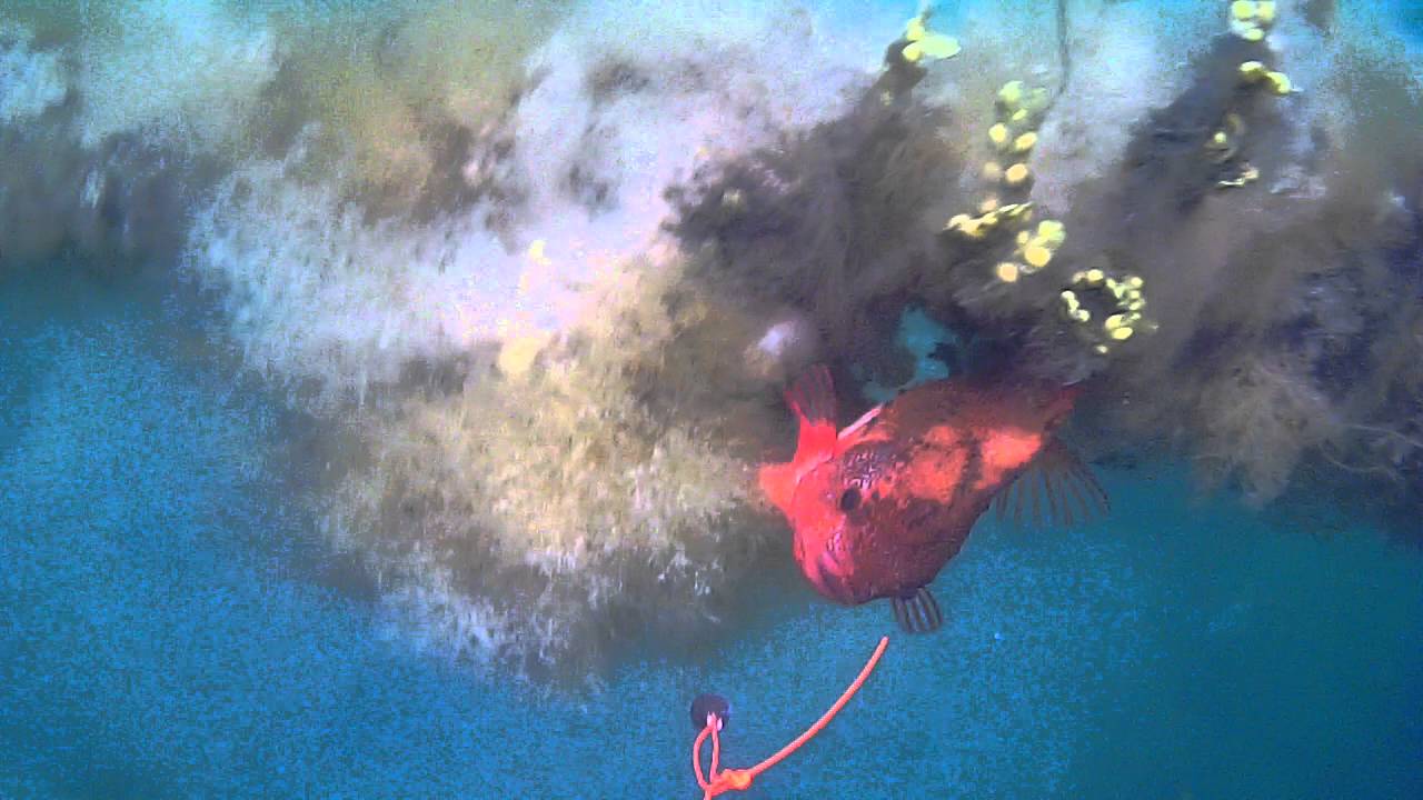 Flatanger Subsea - Fishing with Waterwolf