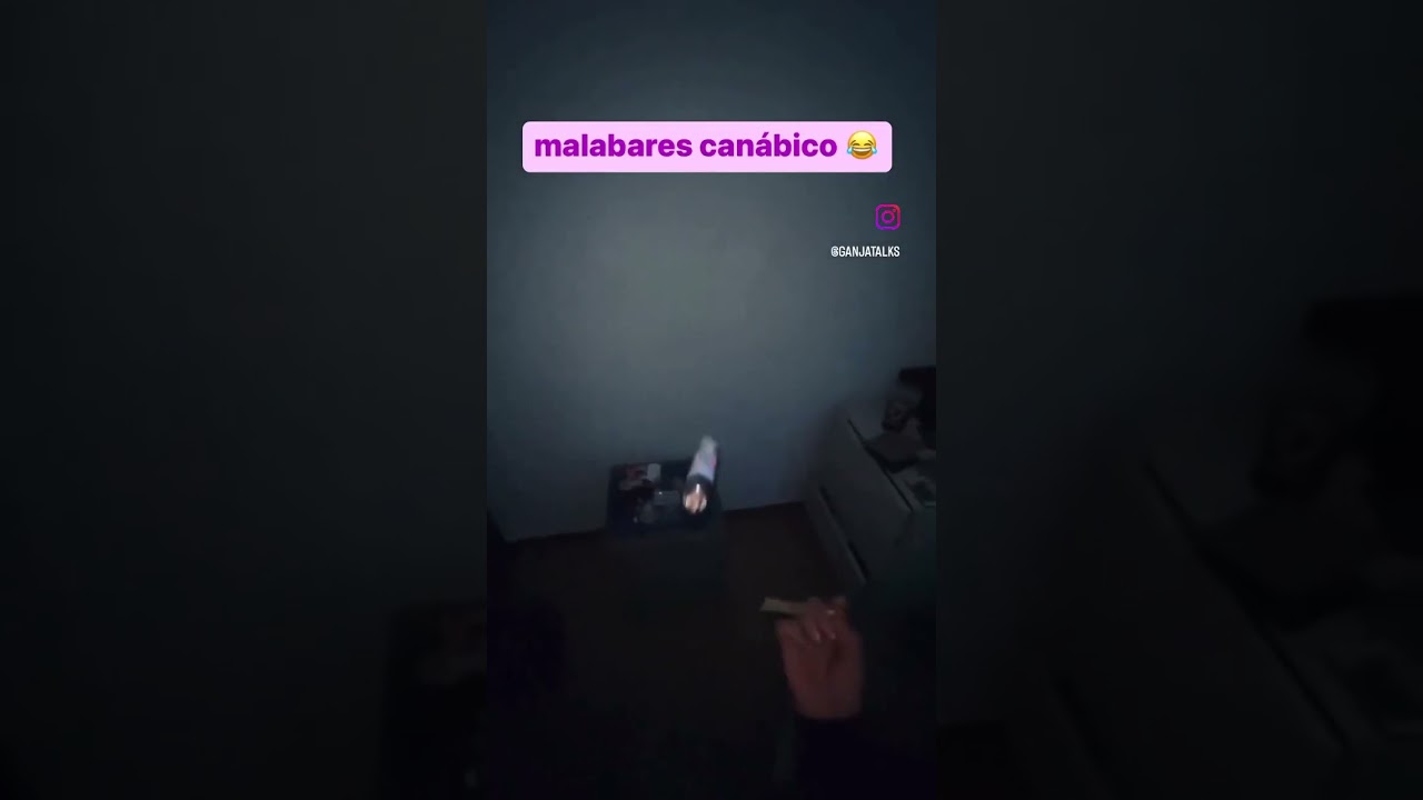 Malabares can&aacute;bico 🤘 #malabares #canabico #hempadao #ganjatalks