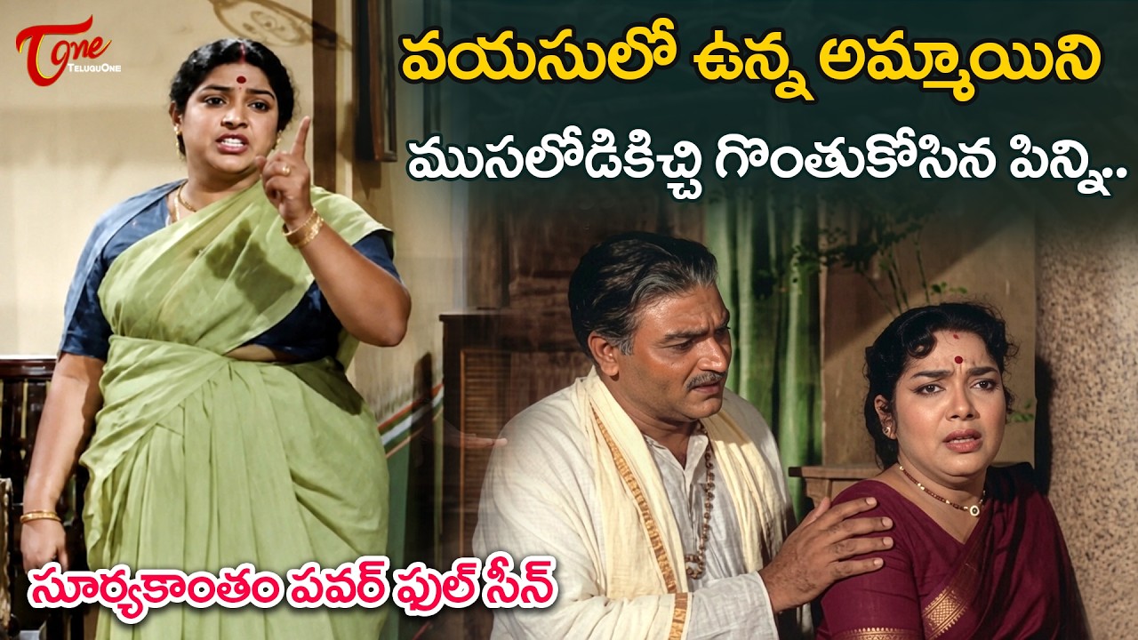Jamuna & Suryakantham Powerful Emotional Scene | సూర్యకాంతం పవర్ ఫుల్ సీన్ | TeluguOne