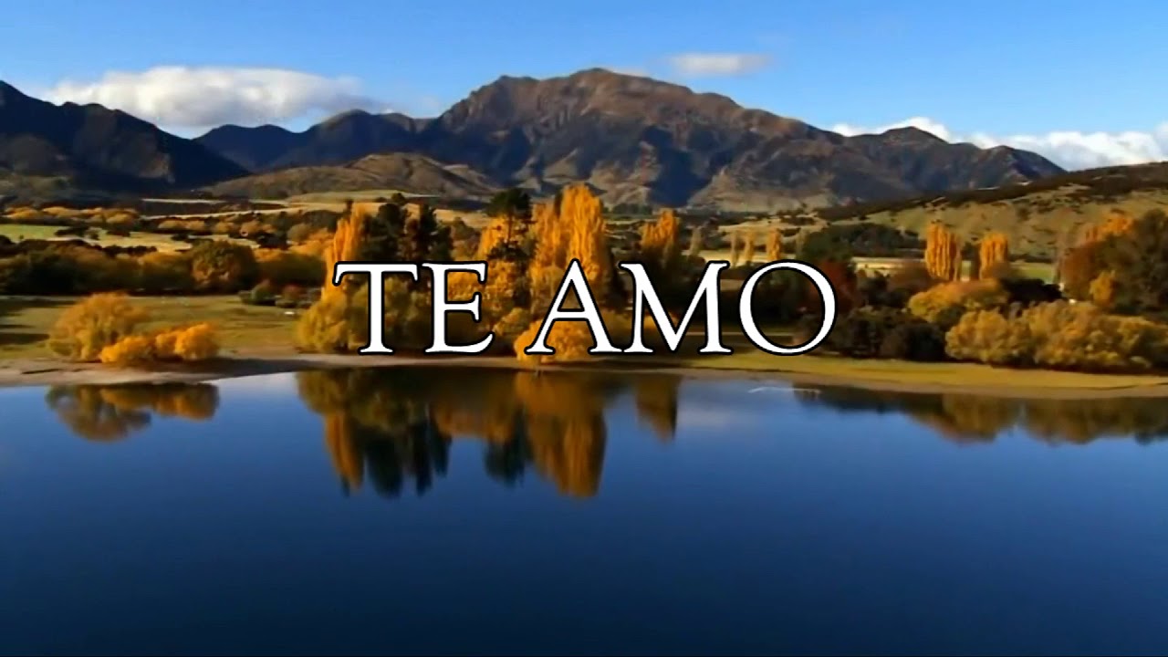 TE AMO - ANDRÉ ETZBERGER (Cover) Sérgio Lopes
