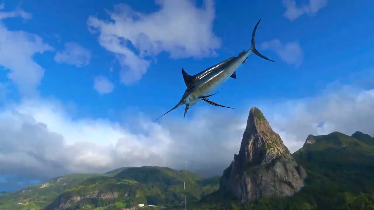 Real Vr Fishing Marlin Auf Der Quest 3