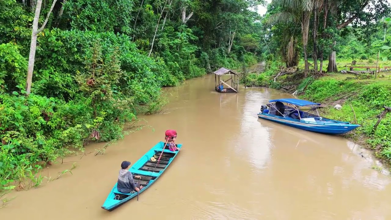 Manicoré – Um Tesouro no Coração do Amazonas