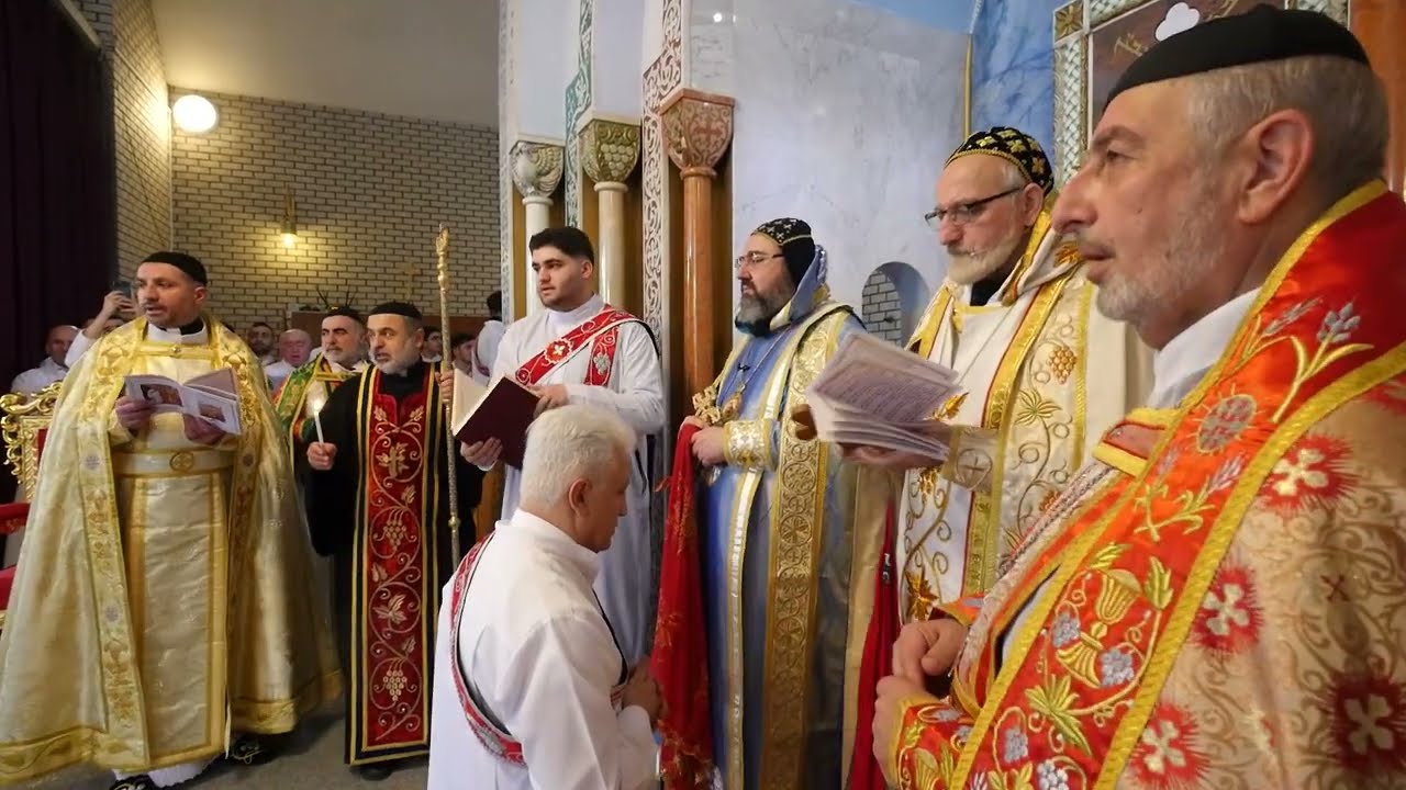 Chamocho Aydin Gunel - Mor Izozoeil