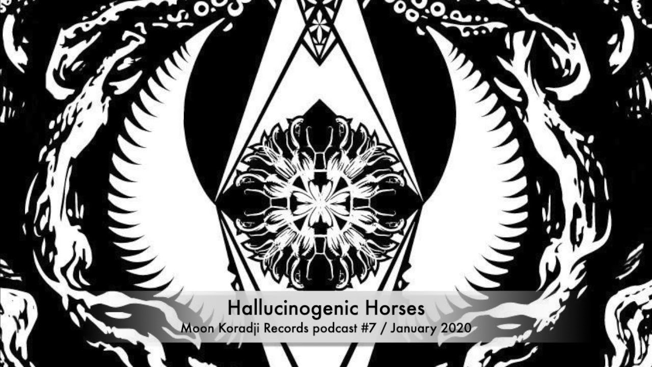 Moon Koradji Records podcast #07 with Hallucinogenic Horses / January 2020