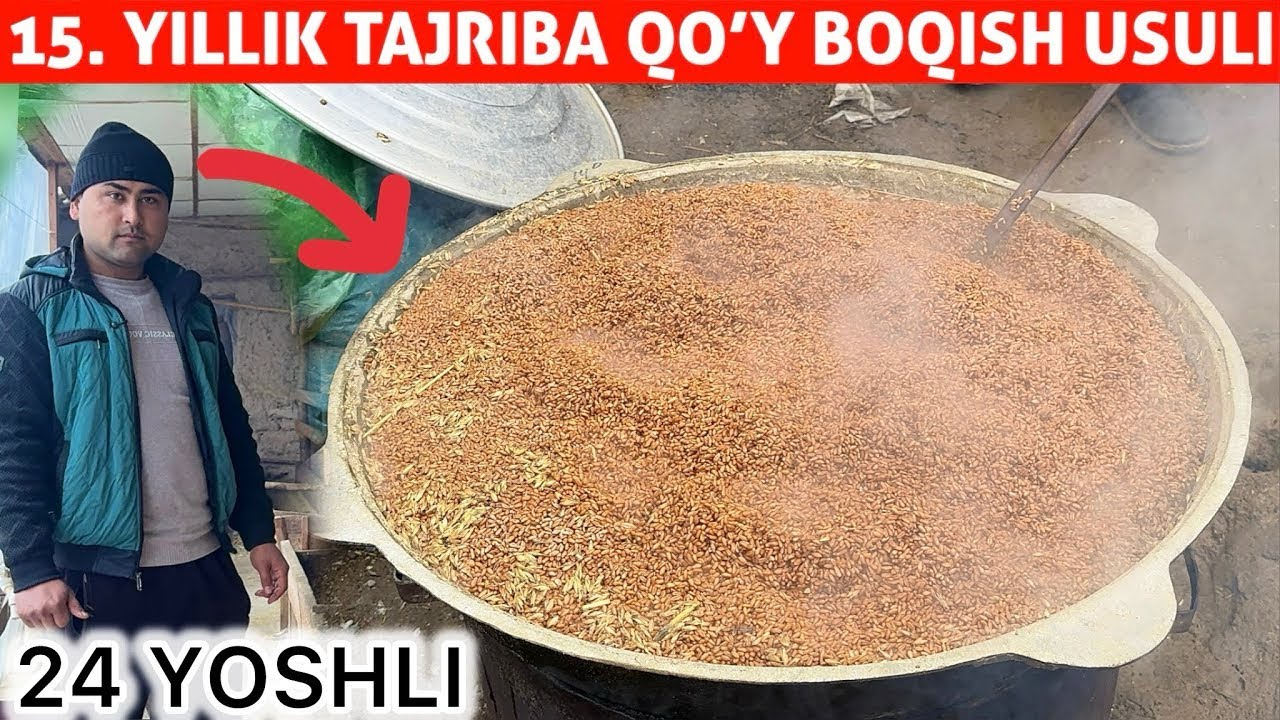 🖼 15YILLIK TAJRIBA! 24 YOSHLI YIGIT QO‘Y BOQIB 20.000$ DAROMAD 😱🐑