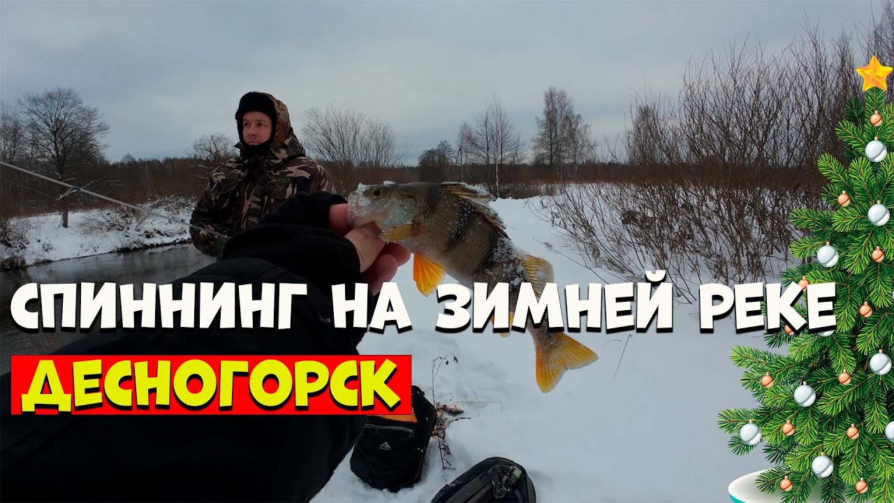 Зимний СПИННИНГ | ЛАЙТ-ДЖИГ | река Десна