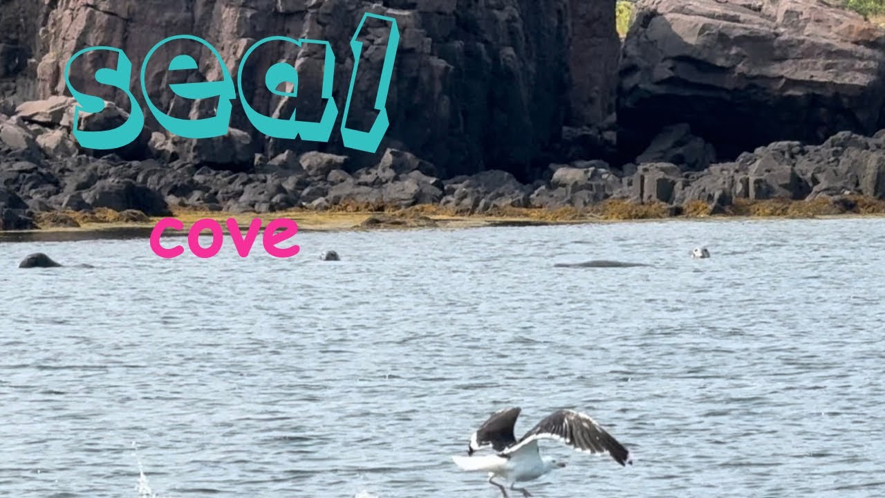 Seal Cove on the Brier Island shores