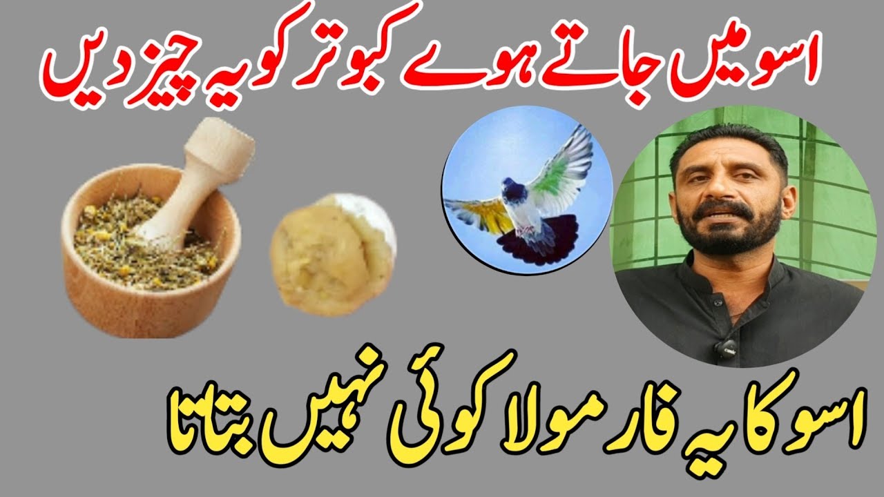 ASOO ME JATY HOYE KABOOTAR KO YE CHEZ DEN