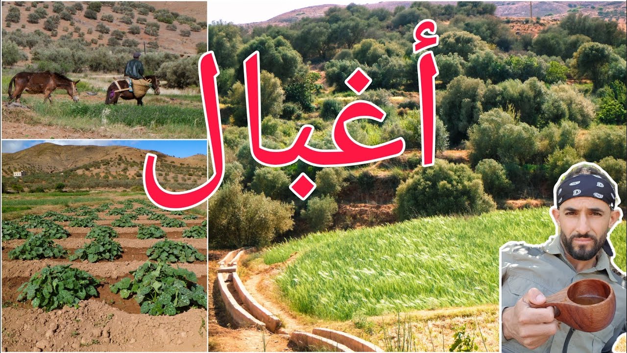 أغبال منطقة فلاحية بضواحي بن طيب_أقليم دريوش
