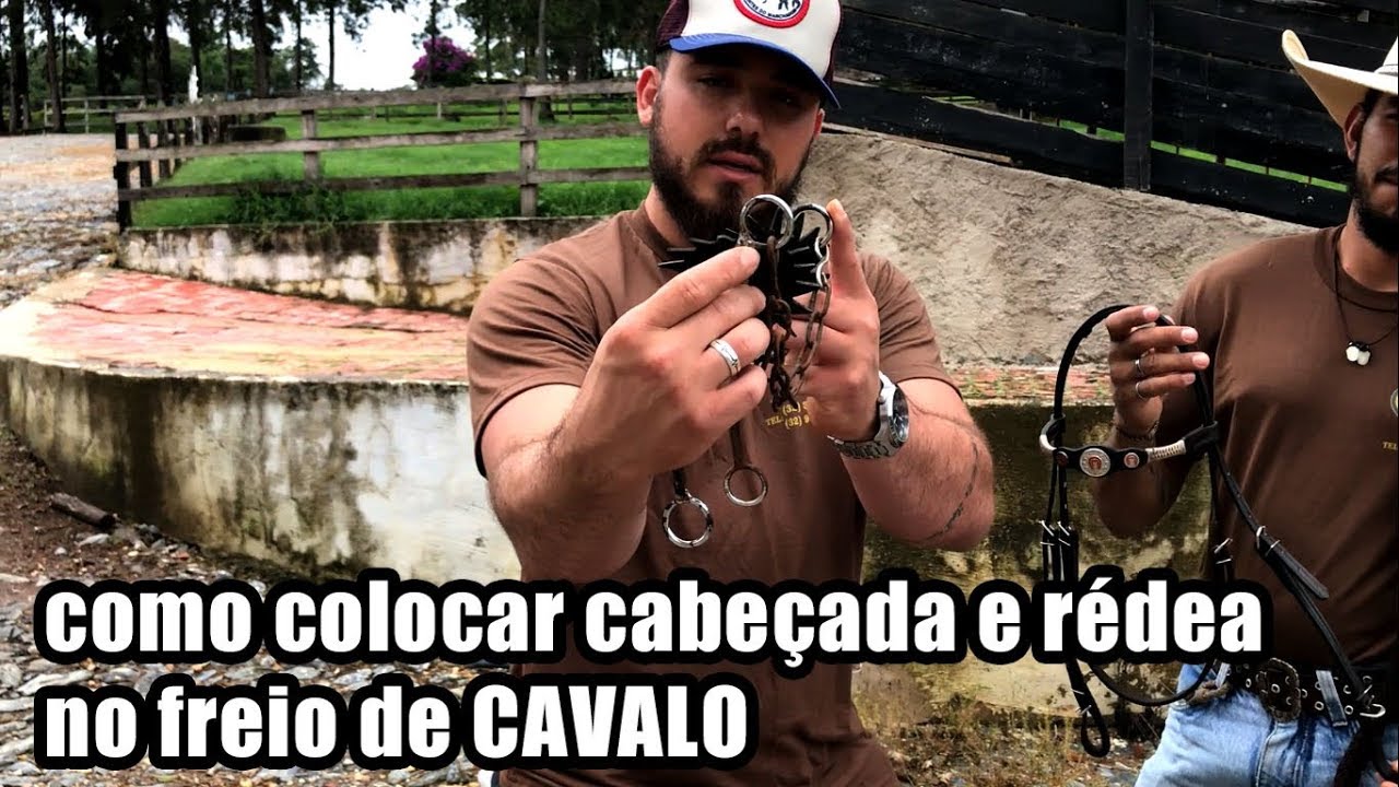 Como colocar cabeçada e rédea no freio de CAVALO