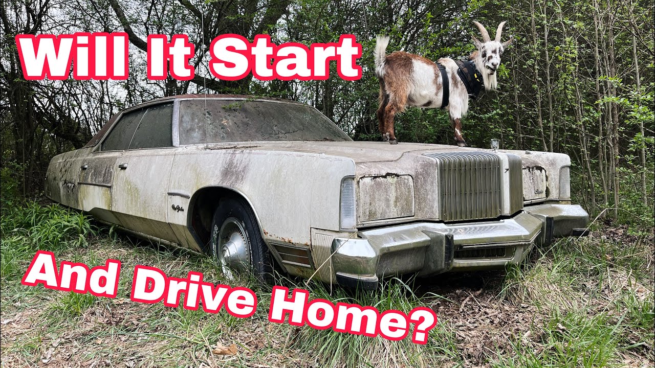 Big Block Bro-Ham! Ant Infested Unsellable Luxury Car! Will It Run and Drive Home?