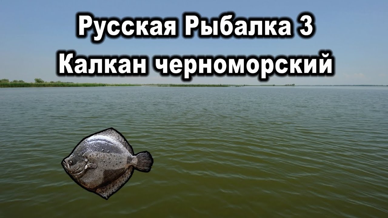 Русская Рыбалка 3. Калкан черноморский.