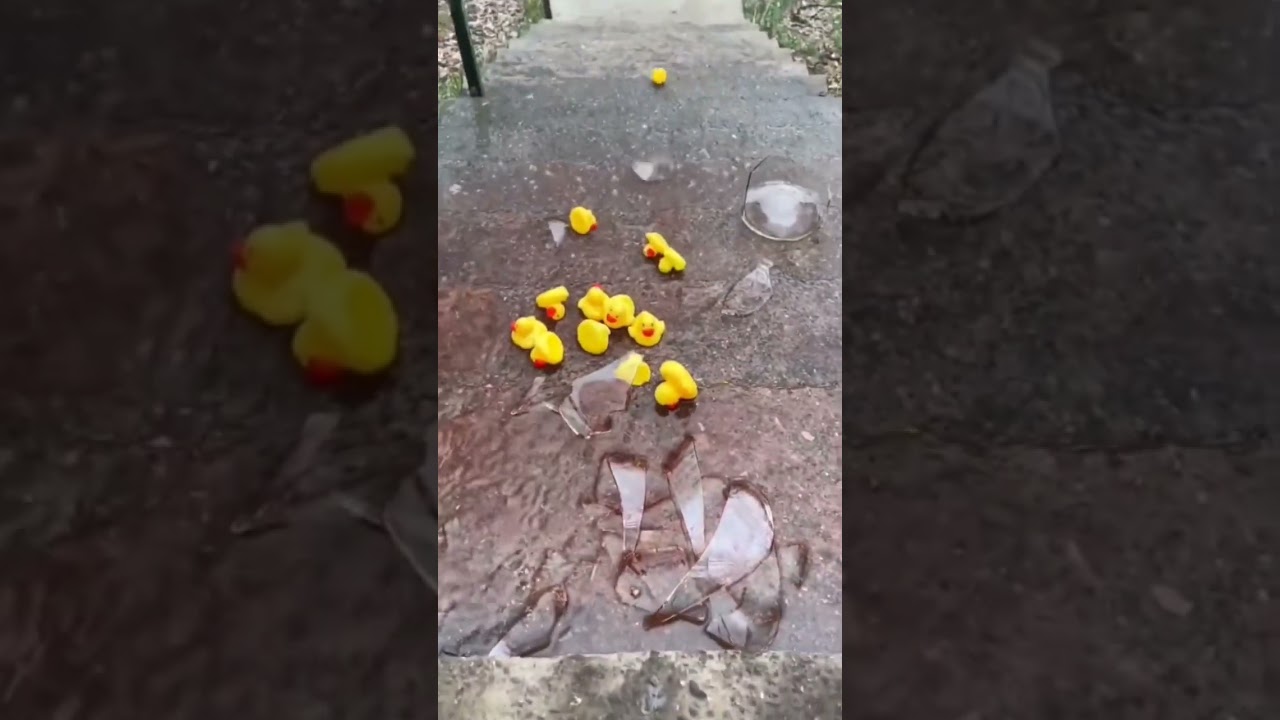 #satisfying #experiment #theexp  #art #kineticsand #asmr #bottlesounds #funny #challenge
