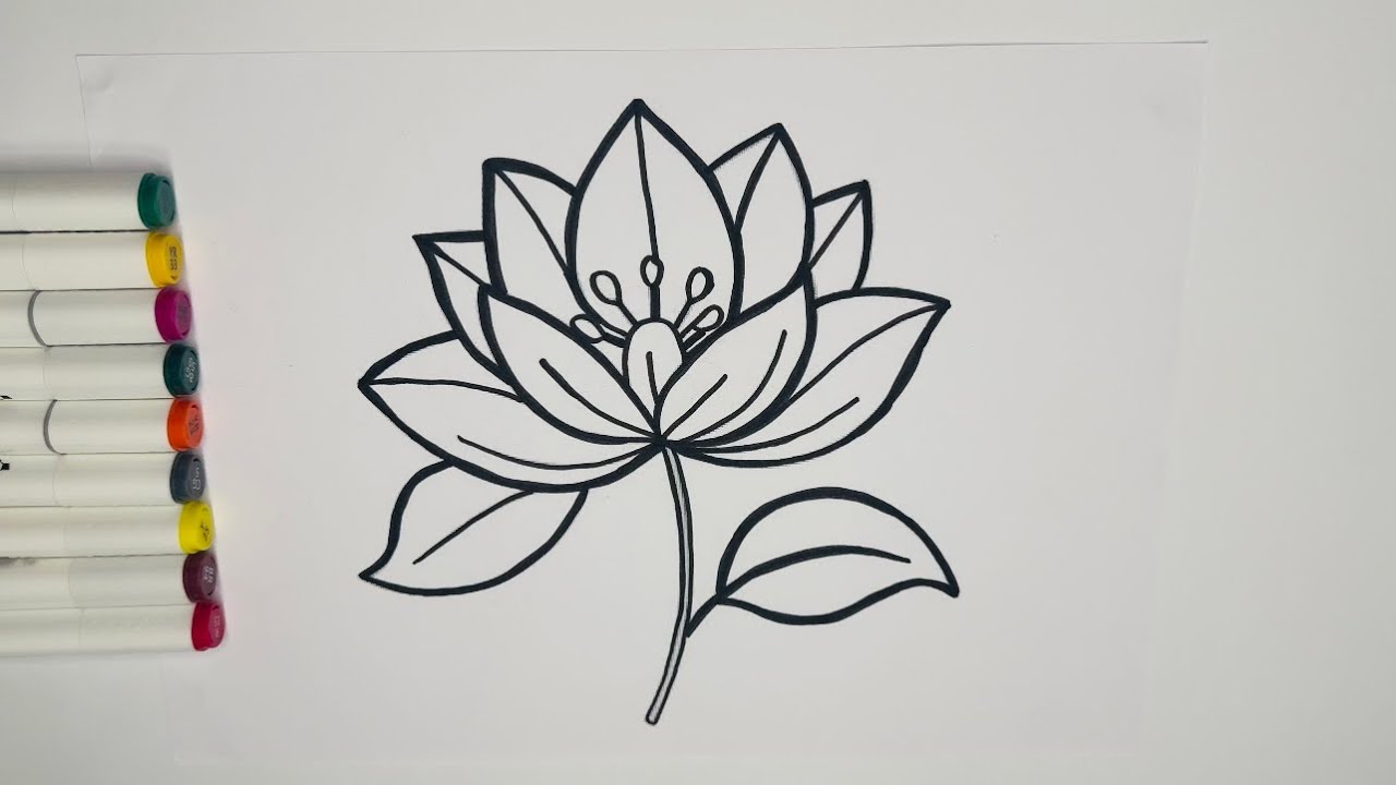 🫟🎨•	Colors World	•	Coloring Time	•	Color Fun	•	Picture Coloring	•	Art Color🎨🫟
