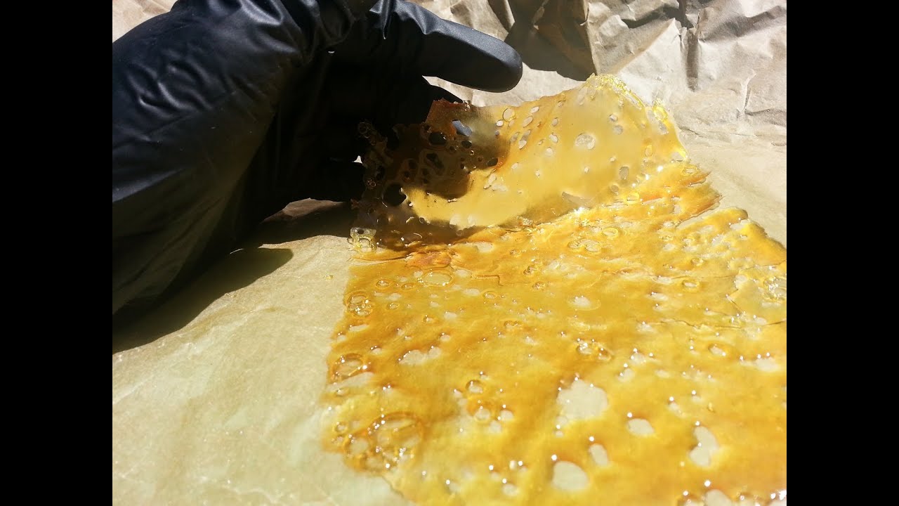 Knottyy's Mendocino Purps x Church Shatter Video