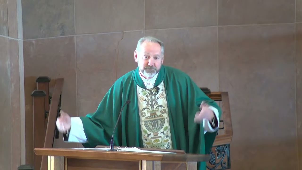 6th Sunday in Ordinary Time - Fr Michael Goodyear Homily