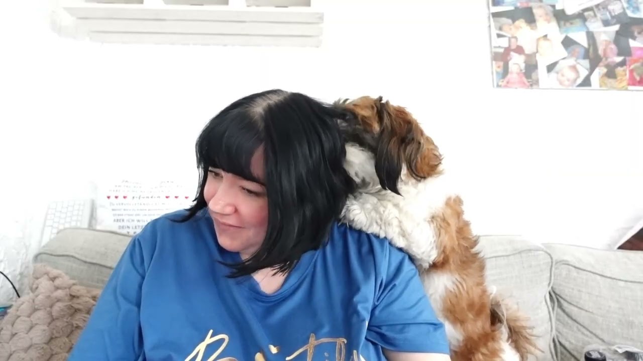 Einkaufshaul Kunterbunt😍 Motatos und Kik ein kleines vergessenes Video 🐶😄🥤 #haul