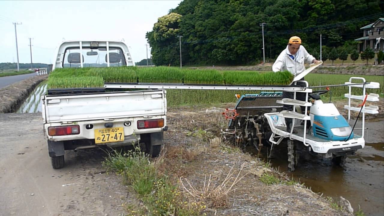 苗送るんジャー　一人田植えのススメ