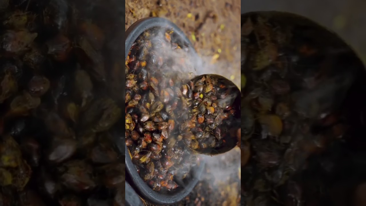 Ondo State Produces the Best Palm Oil in Southwest Nigeria 