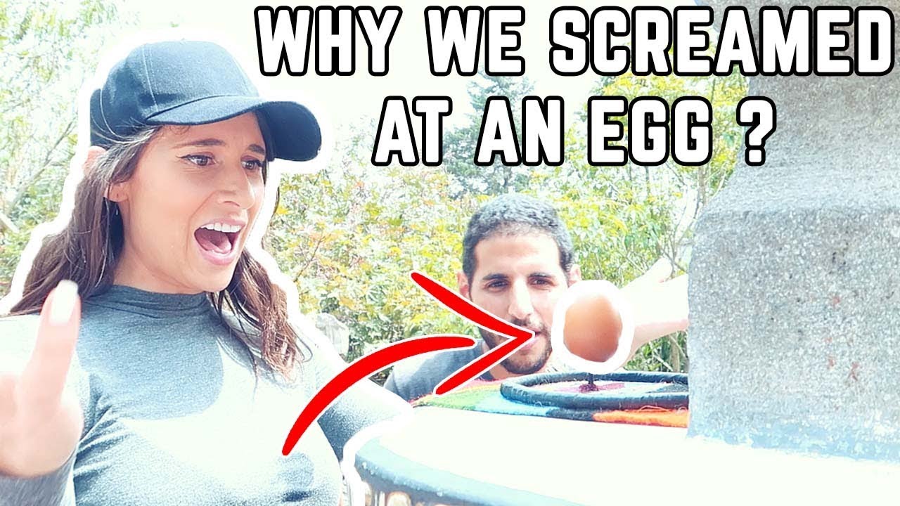 THE REASON WE SCREAMED AT AN EGG - THE MIDDLE OF THE WORLD 🇪🇨