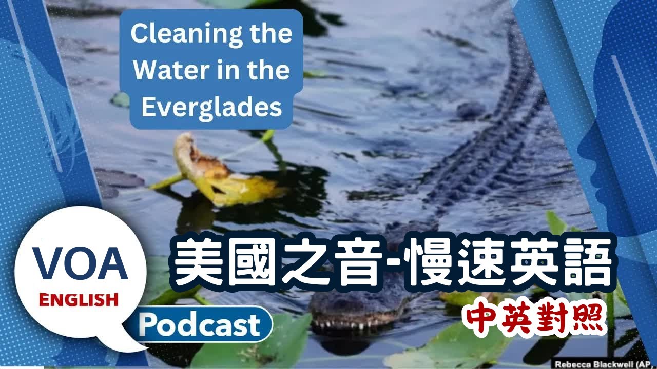美國之音｜慢速英語 Podcast｜Saving the Everglades, Microcredentials, Usual and unusual｜中英對照 | English Podcast