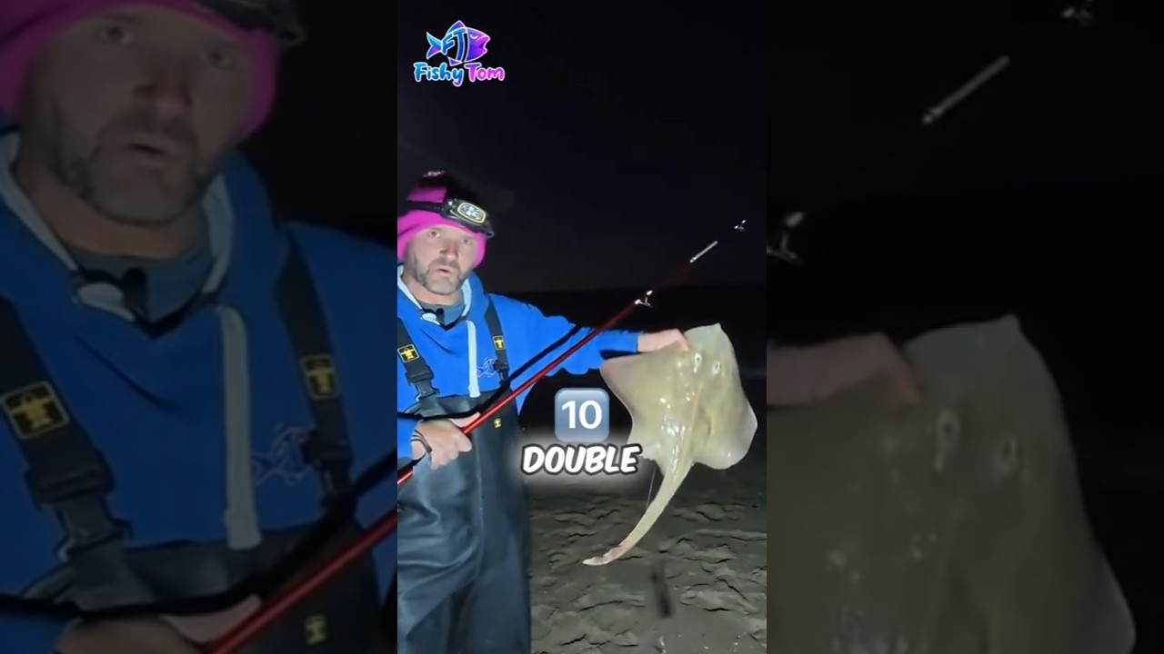 Является ли это лучшей оснасткой для ловли скатов?