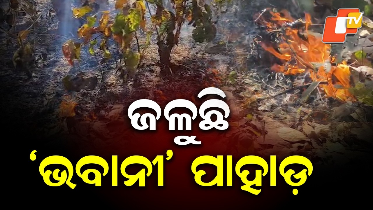 Massive Forest Fire Erupts in Sundargarh; Bhawani Hill Engulfed in Flames