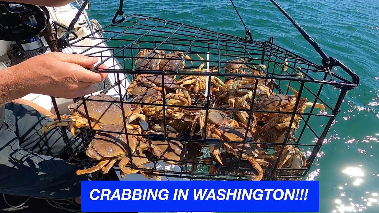 I went CRABBING! Washington was a BLAST!!