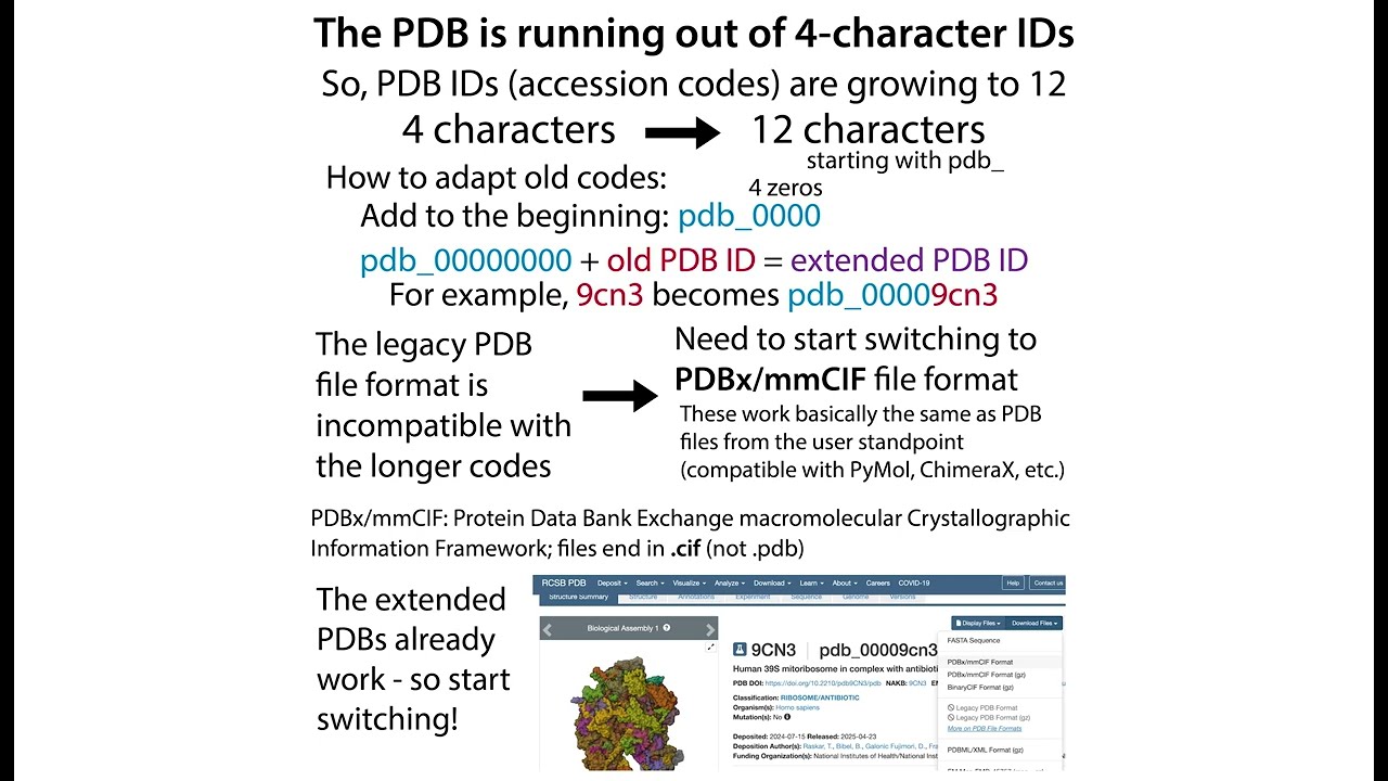 Extended PDB IDs and PDBx/mmCIF files - Make the switch now! What, why, how