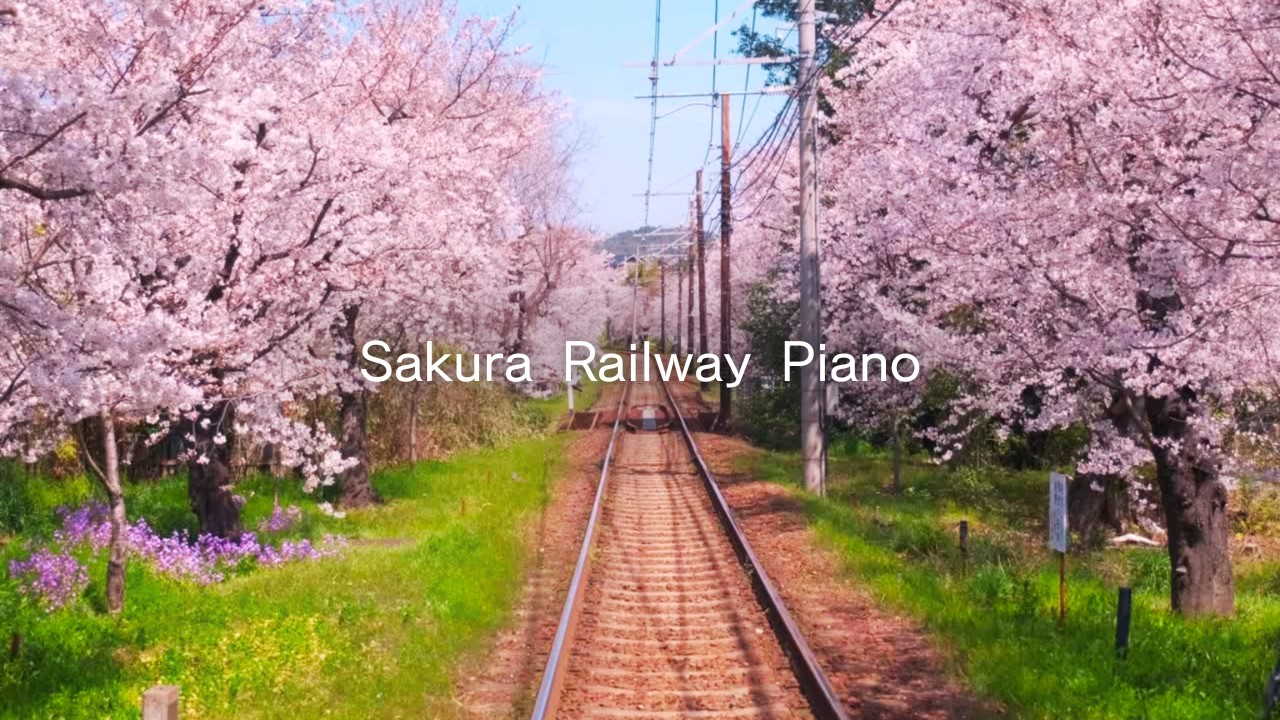 【Calm Piano】心はずむ春の旅ピアノBGM｜春風と小さな旅｜リラックス・作業用BGM