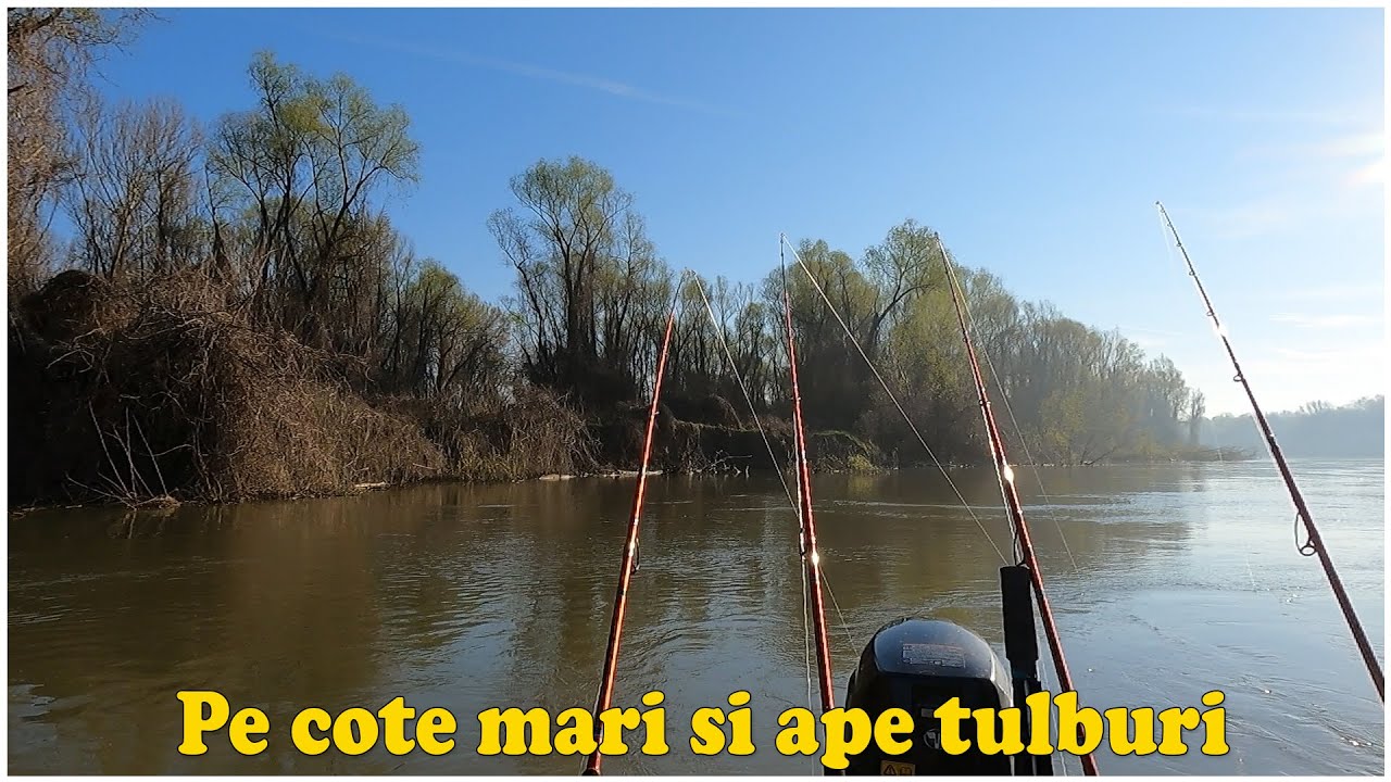 PE COTE MARI SI APE TULBURI