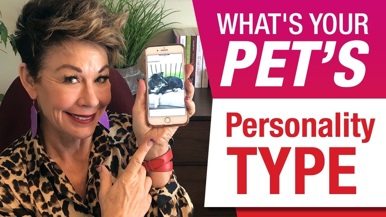 What's your pet's personality type? And tips on how to nurture them.
