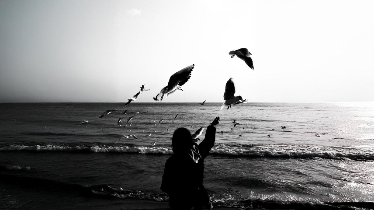 [playlist]검은 밤, 흰 건반