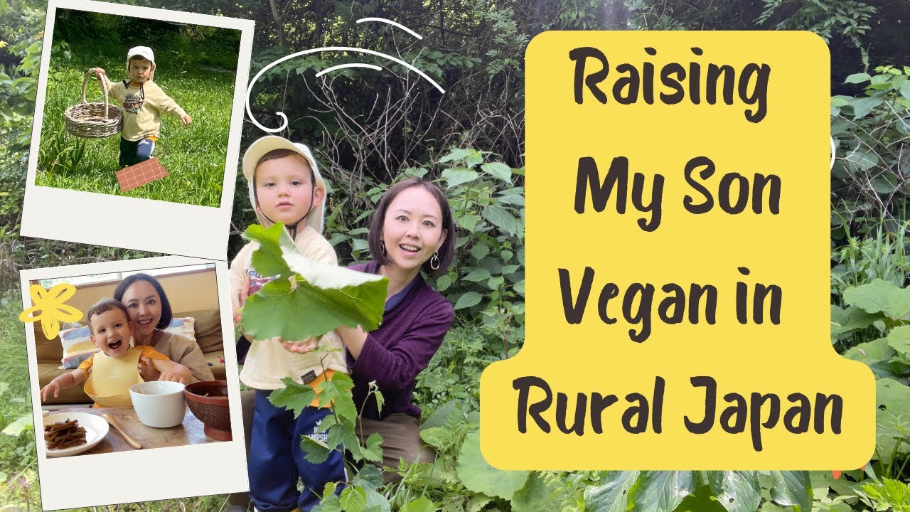 Plant-Based Cooking in Rural Japan as a Single Mom (Wild Foraged Meal)