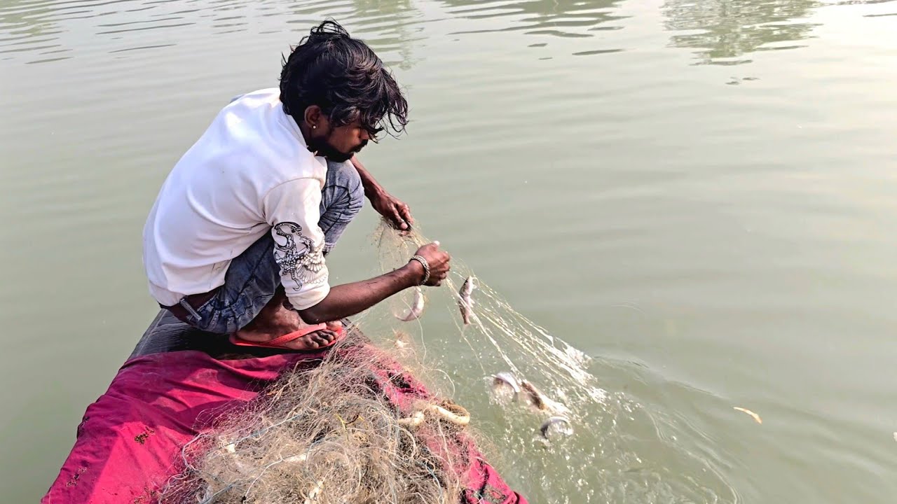 To catch balm fish we saw which net used and a lot of fish fancy #fishhunting2 #fishing