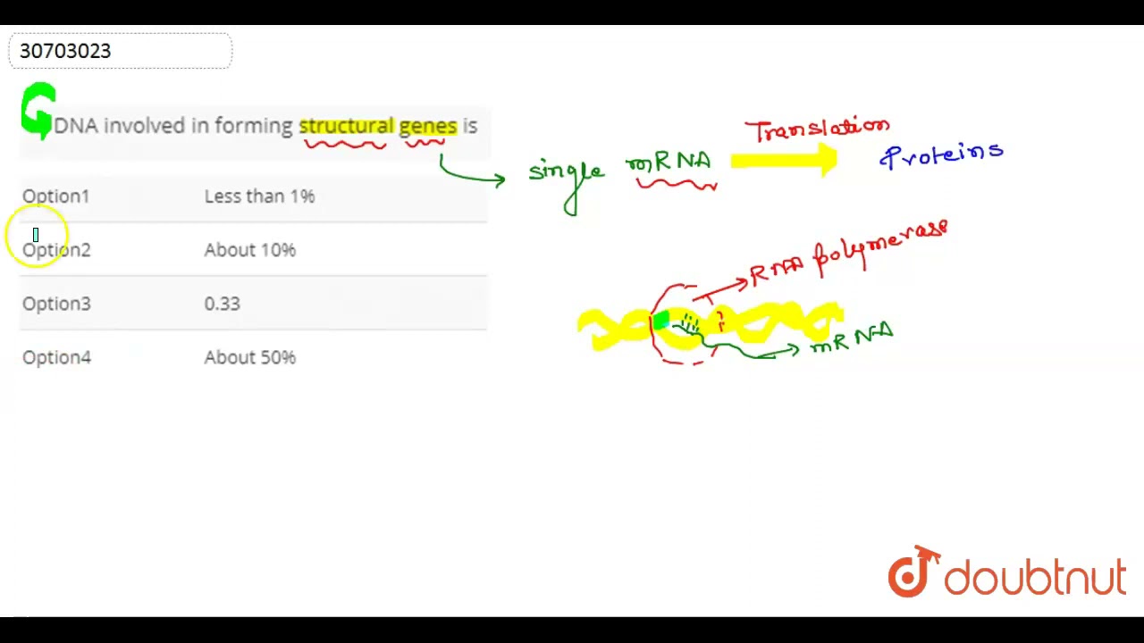 DNA involved in forming structural genes it | 12 | HUMAN EVOLUTION | BIOLOGY | DINESH PUBLICATIO...