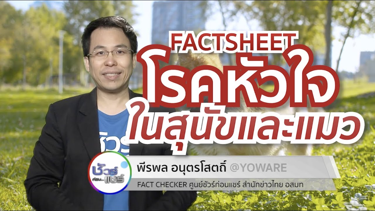 ชัวร์ก่อนแชร์ FACTSHEET : โรคหัวใจในสุนัขและแมว