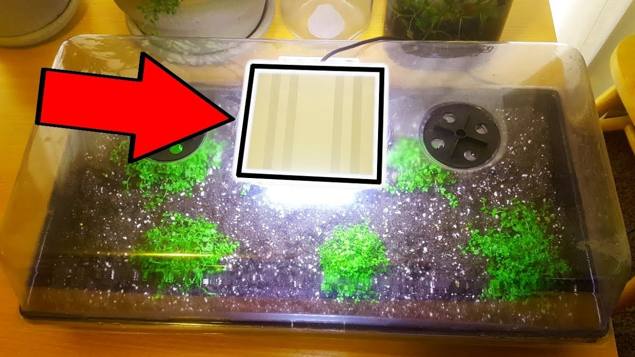 DIY MINI GREENHOUSE For Aquarium Plants