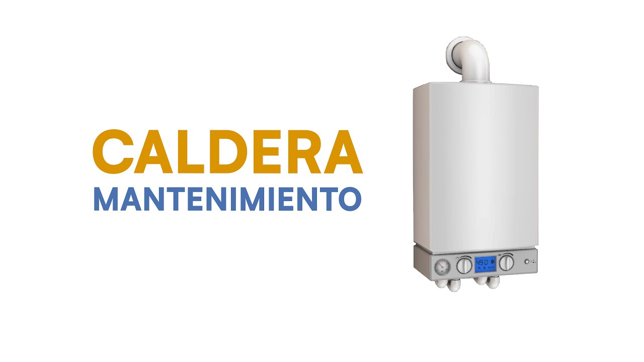 Manteniemiento Calderas / Boiler Maintenance