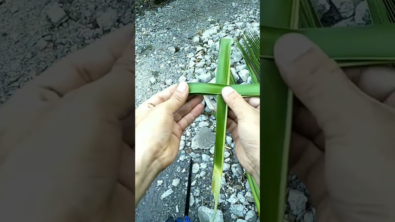 MAKING PALM CROSS DESIGNED COCONUT LEAVES #palm #coconut #shorts