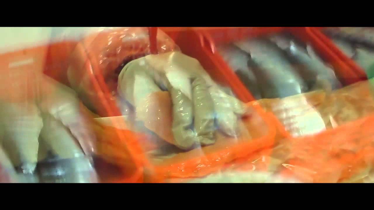 Atlantic Salmon - El mejor salmón del Estado de México.