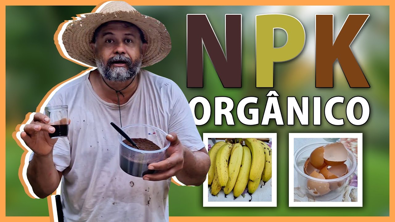 Adubo orgânico caseiro muito fácil