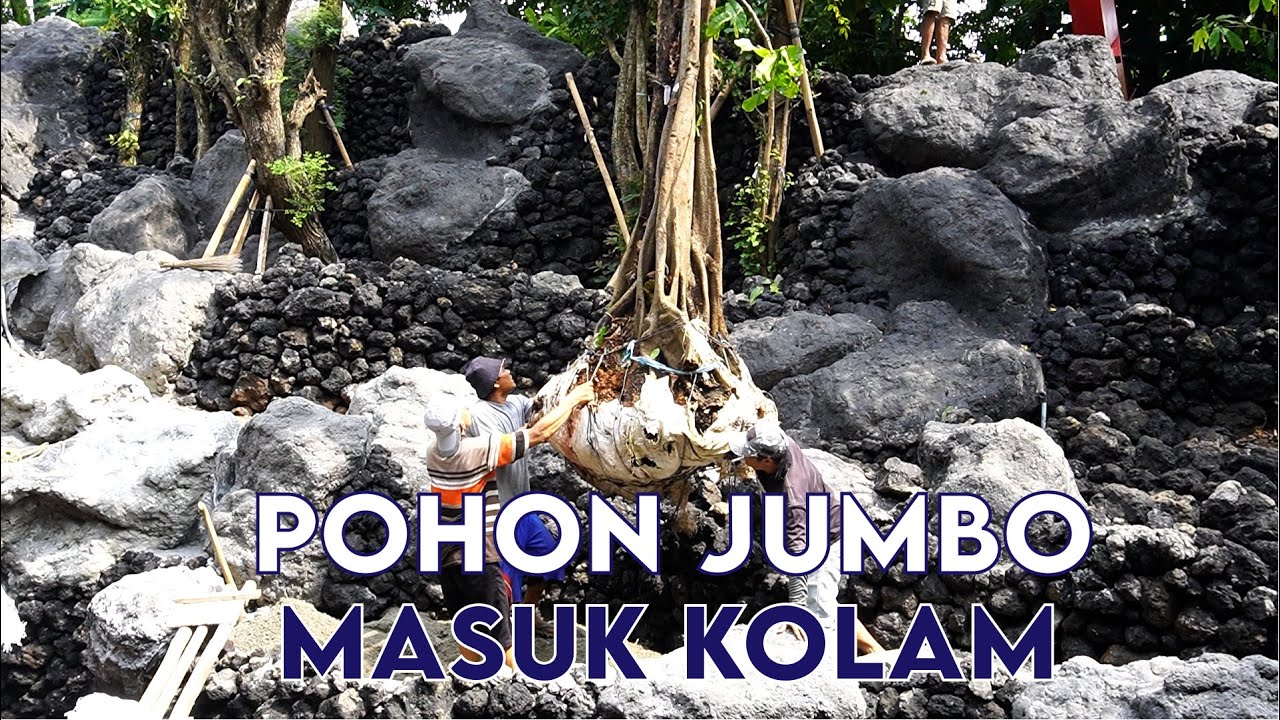 THE WATERFALL, POHON JUMBO MASUK KOLAM - EPS. 07