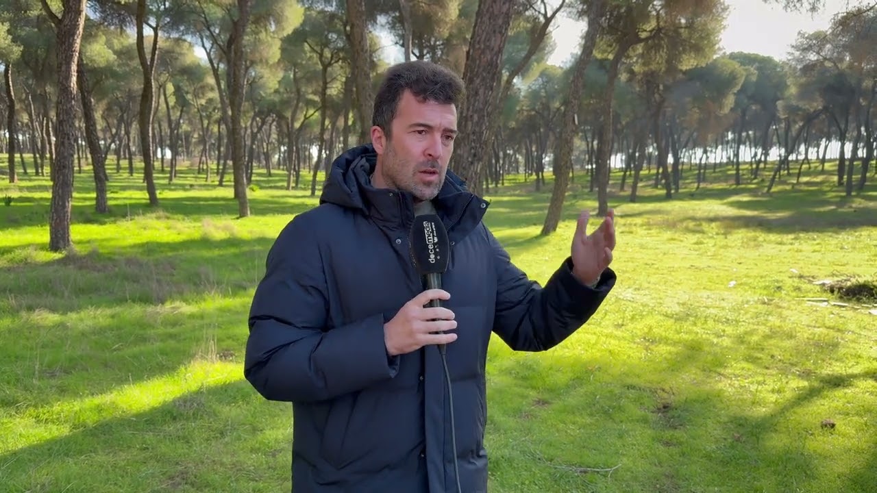 El Pinar Espeso acoge la final del Circuito Provincial de Campo a Través