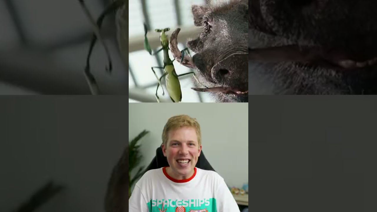 The Seth Rogan Animated Character Cameos