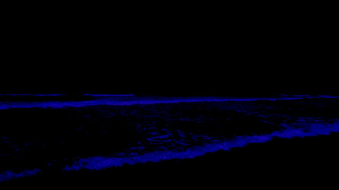 (No Ads) Adhd Sleep Therapy • Drift Into Soothing Waves Deep Sleep • Remove Insomnia Forever