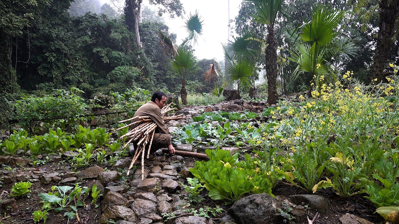 Braving the challenges of the jungle rain | 365 Days of Survival in the Deep Forest | Ep 19